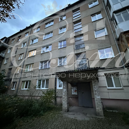 Івано-Франківськ, Княгинин, 1 Спальня Спальні, 1 Кімната Кімнати,1 Ванна кімнатаВанни,Квартира,Оренда,Пулюя,2,1869